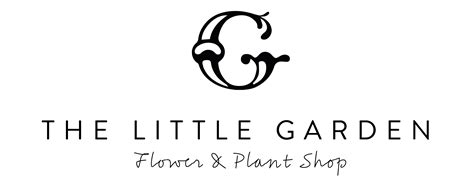 Indoor Plants | The Little Garden Florist and Plant Shop