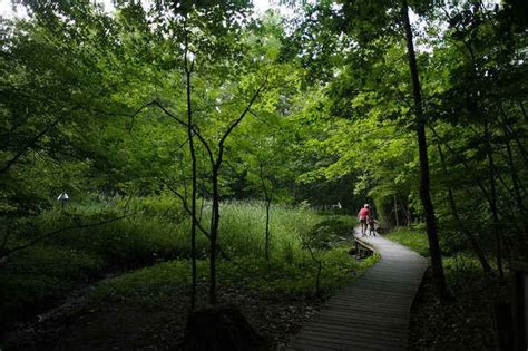 Why Blandford Nature Center is concerned about plan to expand Grand Rapids environmental school ...