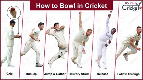 How to Bowl in Cricket – Tips & Lessons for Beginners