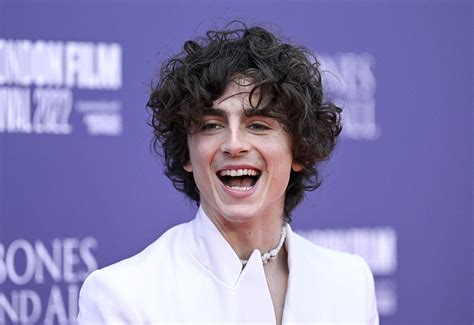 Timothee Chalamet steals the show in a stylish suit at the Venice Film ...