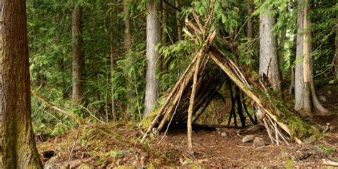 13 Bushcraft And Survival Shelters - The Ultimate Guide