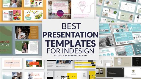 25+ Best Presentation Templates for InDesign - BrandPacks