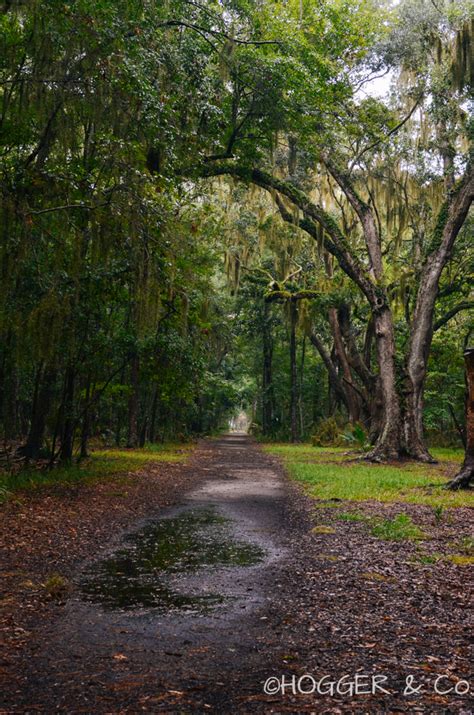 HOGGER & Co. Photography LLC. | Savannah: Wormsloe Plantation