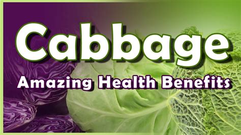 Cabbage Health Benefits - Best Health Benefits of Cabbage - Cabbage Leaves Uses on Your Body ...