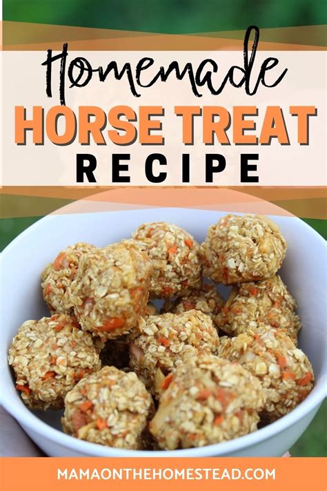 How to Make Simple Homemade Horse Treats - Mama on the Homestead