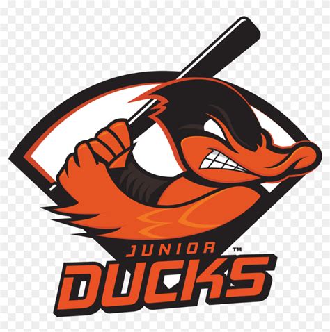 Li Jrducks Color - Long Island Junior Ducks, HD Png Download - 1000x1000(#6845174) - PngFind