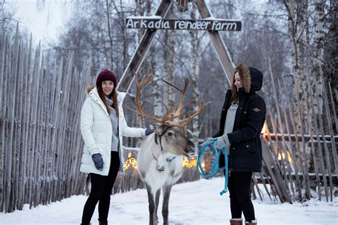 Reindeer farm experience - Sea Lapland Safaris