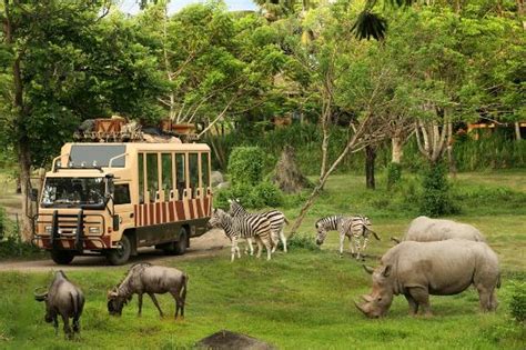 Bali Safari & Marine Park (Gianyar) - 2021 All You Need to Know BEFORE You Go | Tours & Tickets ...