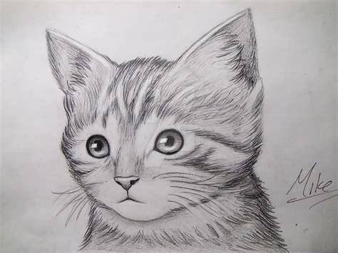 Cute Kitty Drawing by MCorderroure on DeviantArt