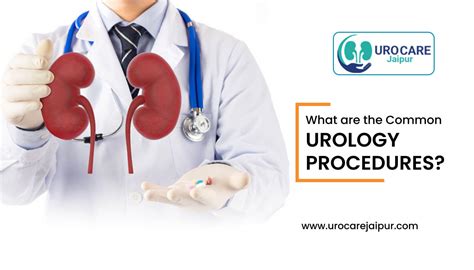 What are the Common Urology Procedures?