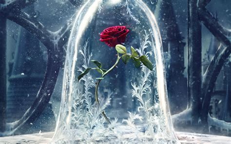 Beauty and the Beast 2017 Wallpapers | HD Wallpapers | ID #18326