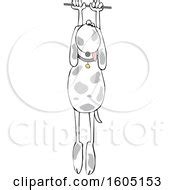 Woman Hanging out on a Limb of a Cliff Cartoon Posters, Art Prints by - Interior Wall Decor #1192331