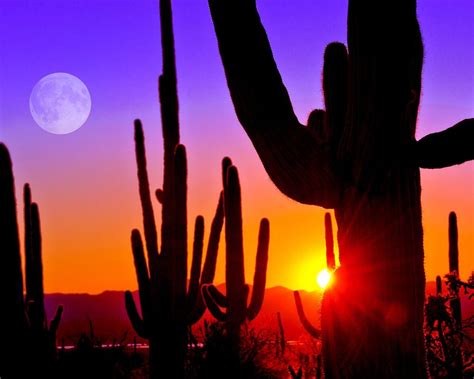 Tucson Sunset Wallpapers - Top Free Tucson Sunset Backgrounds - WallpaperAccess