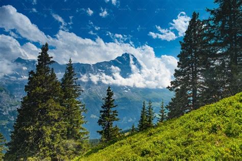 Alpine Valley Grindelwald Switzerland - Stock Photos | Motion Array