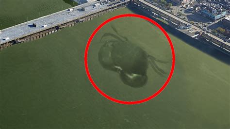 10 Bizarre Unexplained Creature Sightings On Google Earth - iOnGreenville: Your Guide to ...