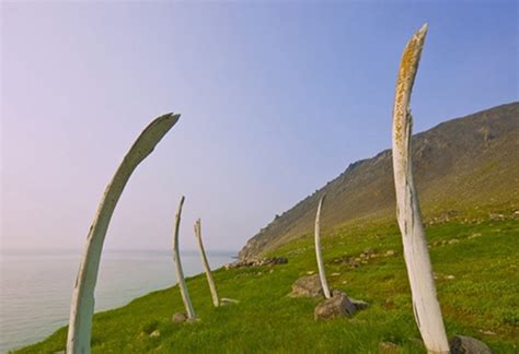 Siberia’s Whale Bone Alley: Stonehenge’s Eerie Russian Cousin