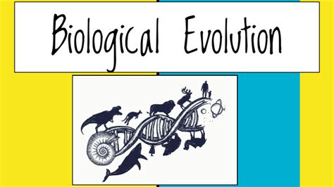 Biological Evolution