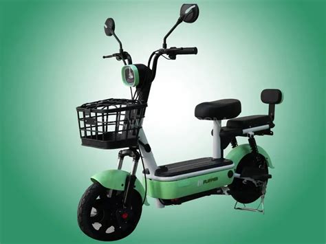 Buy Evee Flipper Electric Bike Green in Pakistan | PakWheels