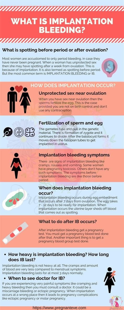 What is Implantation Bleeding? How Long Does It Last?