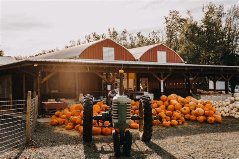 Maan Farms Annual Fall Festival: Daydreams to Nightmares » Vancouver Blog Miss604