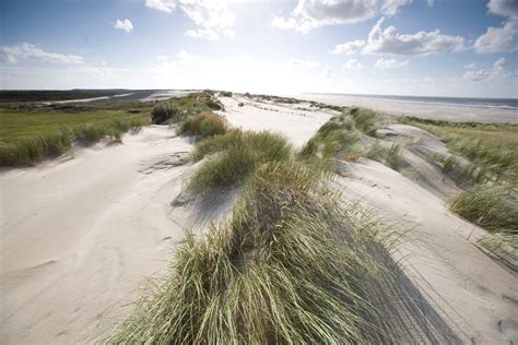 Discover Terschelling | Friesland.nl