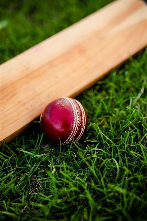 Premium Photo | Cricket bat and ball on green grass | Cricket bat, Cricket balls, Cricket wallpapers