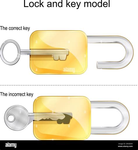 Lock and key model. The correct and incorrect keys. Vector illustration ...