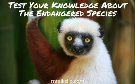 Test Your Knowledge About The Endangered Species