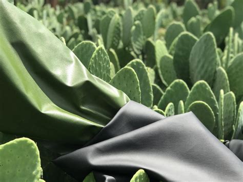 H&M X Desserto: Fashion Giant Uses Mexican Startup's Cactus Leather In New Sustainable Collection