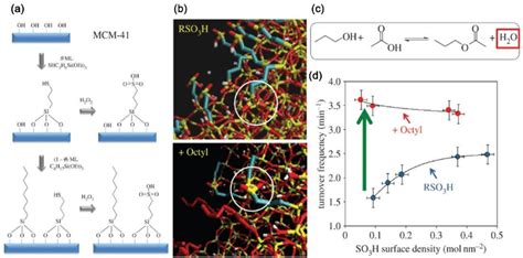 a Sulfonic acid synthesis with octyl functionalization in presence of... | Download Scientific ...