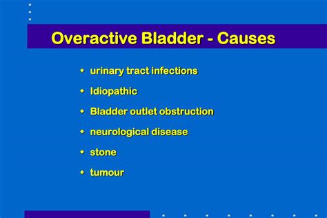 PPT - The Overactive Bladder PowerPoint Presentation, free download - ID:1736593