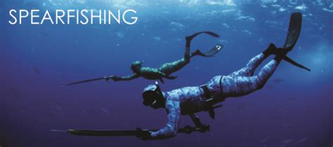 SPEARFISHING QUEENSLAND