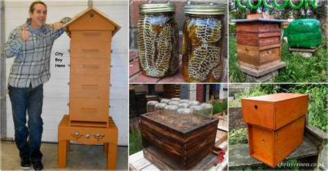 10 DIY Beehives You Can Add To Your Backyard Today - DIY & Crafts