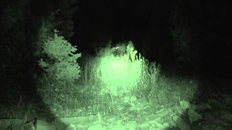 A Young Woman Has An Encounter With A Skinwalker