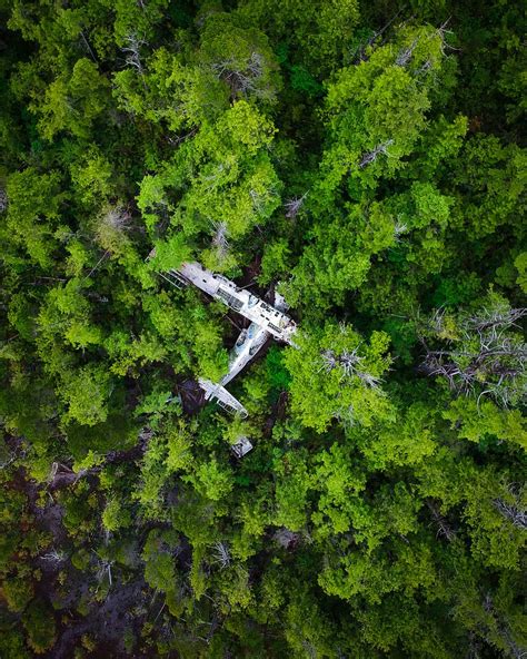 HD wallpaper: aerial photography of trees, drone view, aerial view, forest | Wallpaper Flare