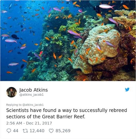 Twitter User Shares Heartwarming Good News Stories of 2017