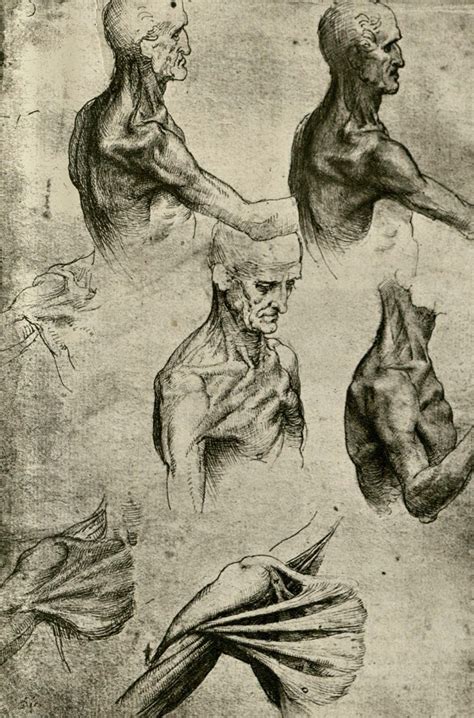 Da Vinci Figure Drawings - Leonardo Da Vinci Drawings | Bodaqwasuaq