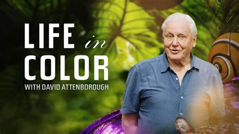 Life in Color with David Attenborough | Global Trekker