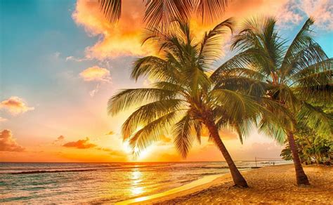 Hawaii Beach Sunset Wallpapers - Top Free Hawaii Beach Sunset Backgrounds - WallpaperAccess