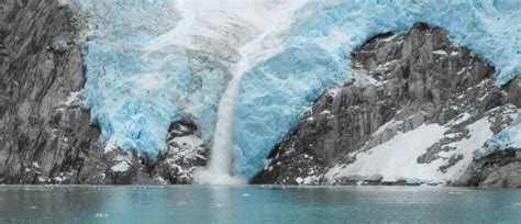 Kenai Fjords National Park | Wildlife & Glacier Cruiess | AlaskaTravel.com