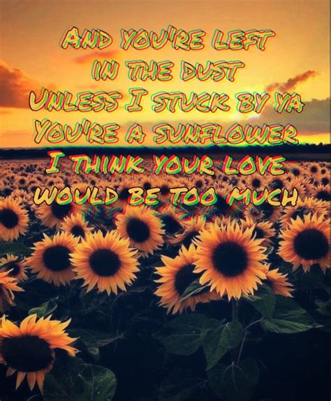 Sunflower lyrics by post Malone and swae lee from the movie Spiderman: into the spider verse. # ...