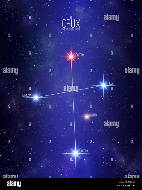 Crux the Southern Cross constellation on a starry space background with the names of its main ...