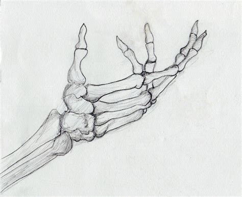 Skeleton Hand Drawing Skeleton Drawings From The Library Of Nat | Skeleton drawings, Skeleton ...