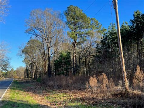 40 ACRES LAND FOR SALE QUITMAN LA - Realtree - United Country Real Estate