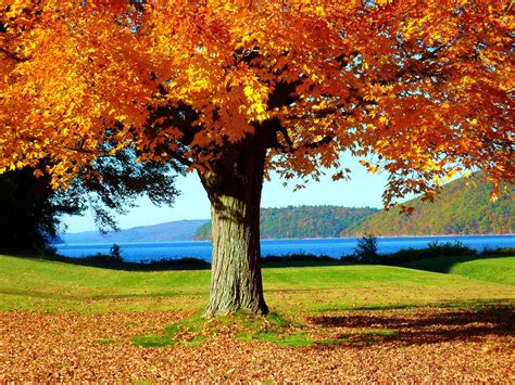 Fall Foliage at Quabbin Reservoir Belchertown MA Instant | Etsy