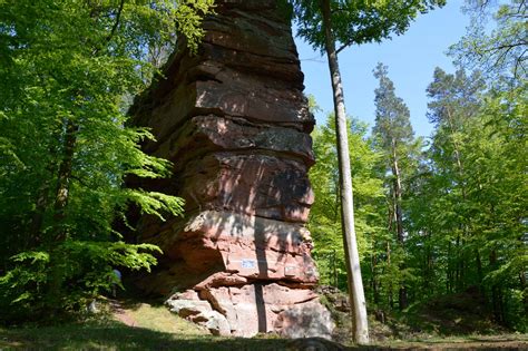 Castle Hohenfels - Dambach | Visit Alsace