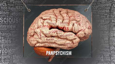 Panpsychism in human brain - dozens of important terms describing ...