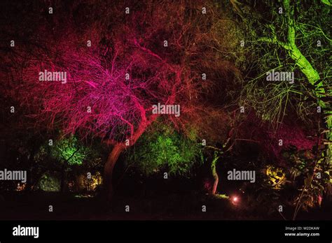 Al Noor Island, Sharjah at night Stock Photo - Alamy