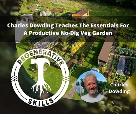 Charles Dowding teaches the essentials for a productive no-dig veggie garden – Regenerative Skills