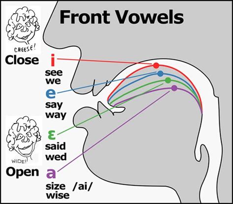 Front vowels | Speech and language, Speech therapy materials, Speech language therapy